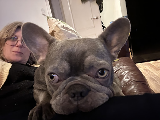 Photo from customer review