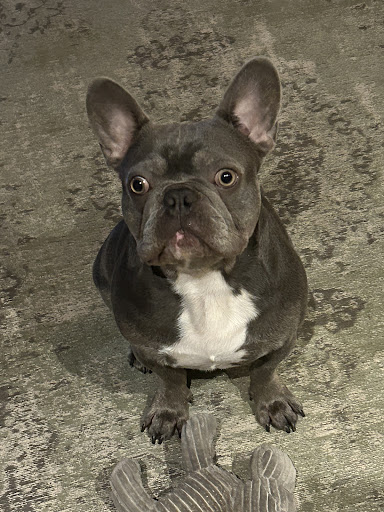 Photo from customer review