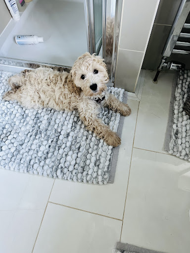 Photo from customer review